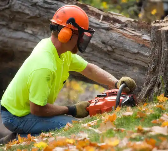 tree services Roslyn Estates